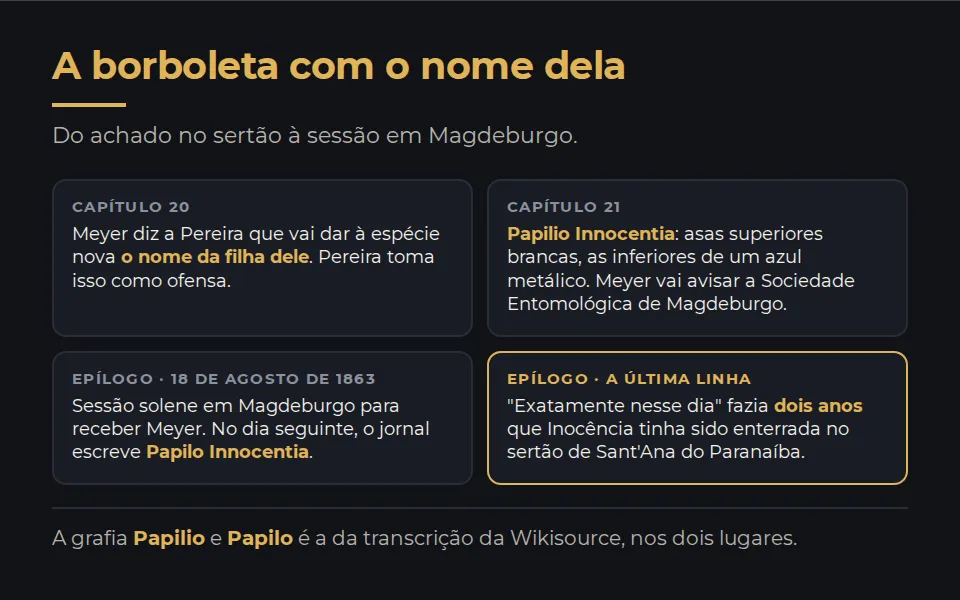 A borboleta, do achado ao epílogo. Capítulo 20: Meyer diz a Pereira que vai dar à espécie nova o nome da filha dele, e Pereira toma isso como ofensa. Capítulo 21: Papilio Innocentia, asas superiores brancas e inferiores de um azul metálico, e o aviso à Sociedade Entomológica de Magdeburgo. Epílogo: em 18 de agosto de 1863, sessão solene em Magdeburgo; no dia seguinte, o jornal escreve Papilo Innocentia; e o livro fecha dizendo que, exatamente nesse dia, fazia dois anos que Inocência tinha sido enterrada no sertão de Sant'Ana do Paranaíba.