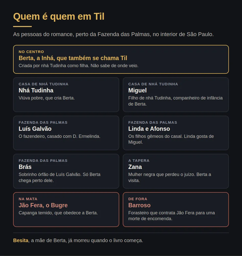 Quem é quem em Til. No centro, Berta, a Inhá, que também se chama Til, criada por nhá Tudinha como filha, sem saber de onde veio. Nhá Tudinha, viúva pobre. Miguel, filho de nhá Tudinha e companheiro de infância de Berta. Na Fazenda das Palmas, o fazendeiro Luís Galvão, casado com D. Ermelinda; os filhos gêmeos Linda e Afonso, e Linda gosta de Miguel; Brás, sobrinho órfão de Luís Galvão, de quem só Berta chega perto. Na tapera, Zana, mulher negra que perdeu o juízo, que Berta visita. Na mata, Jão Fera, o Bugre, capanga temido que obedece a Berta. De fora, Barroso, forasteiro que contrata Jão Fera para uma morte de encomenda. Besita, a mãe de Berta, já morreu quando o livro começa.